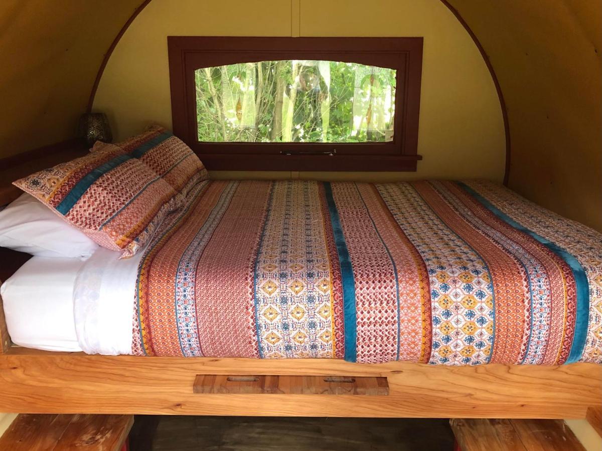 Greytown Campground Extérieur photo