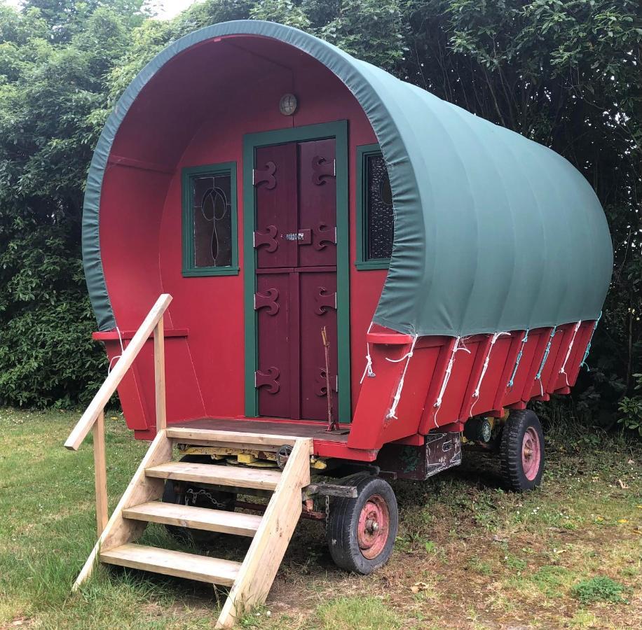 Greytown Campground Extérieur photo